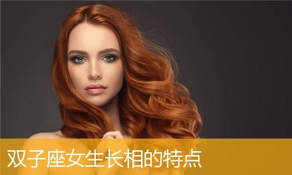 双子座男生喜欢颜值高的女生吗