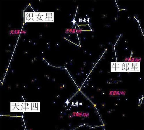 牛郎织女是什么星座的星体