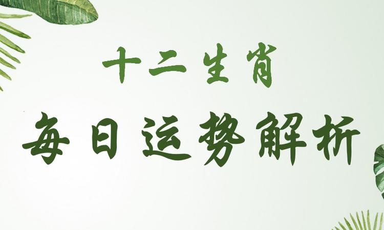 2021年属虎很迷茫为什么