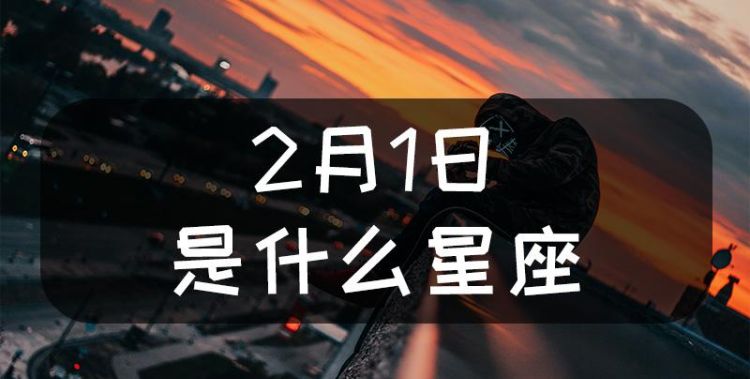 2月ll日是什么星座