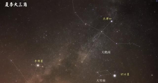 牛郎星是哪个星座的第一颗星