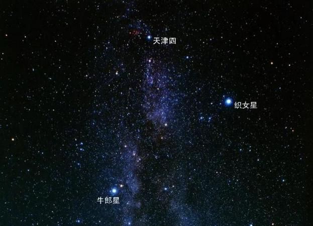 牛郎星位于什么星座啊牛郎星位于什么星座啊