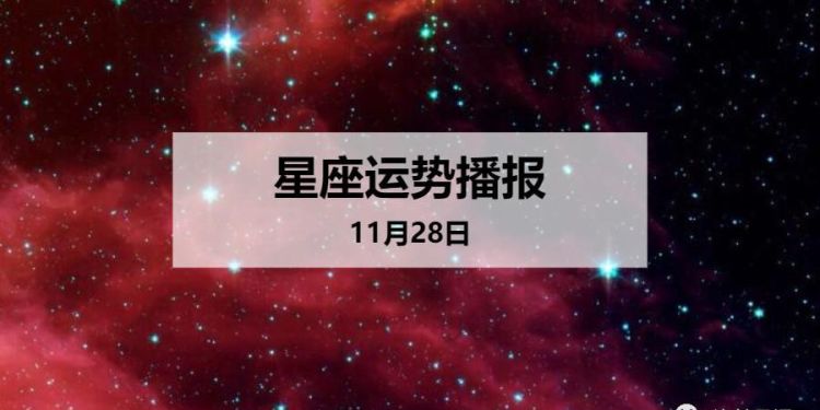 11月28日是什么星座女农历