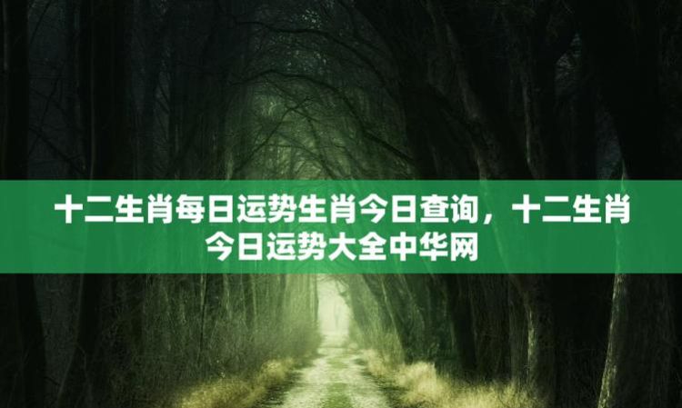 1972年农历8月27日生鼠女今天的运气