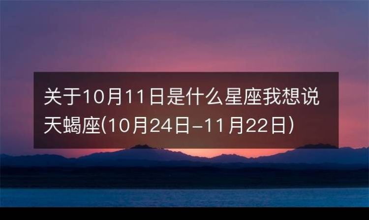 1997年阳历11月20是什么星座